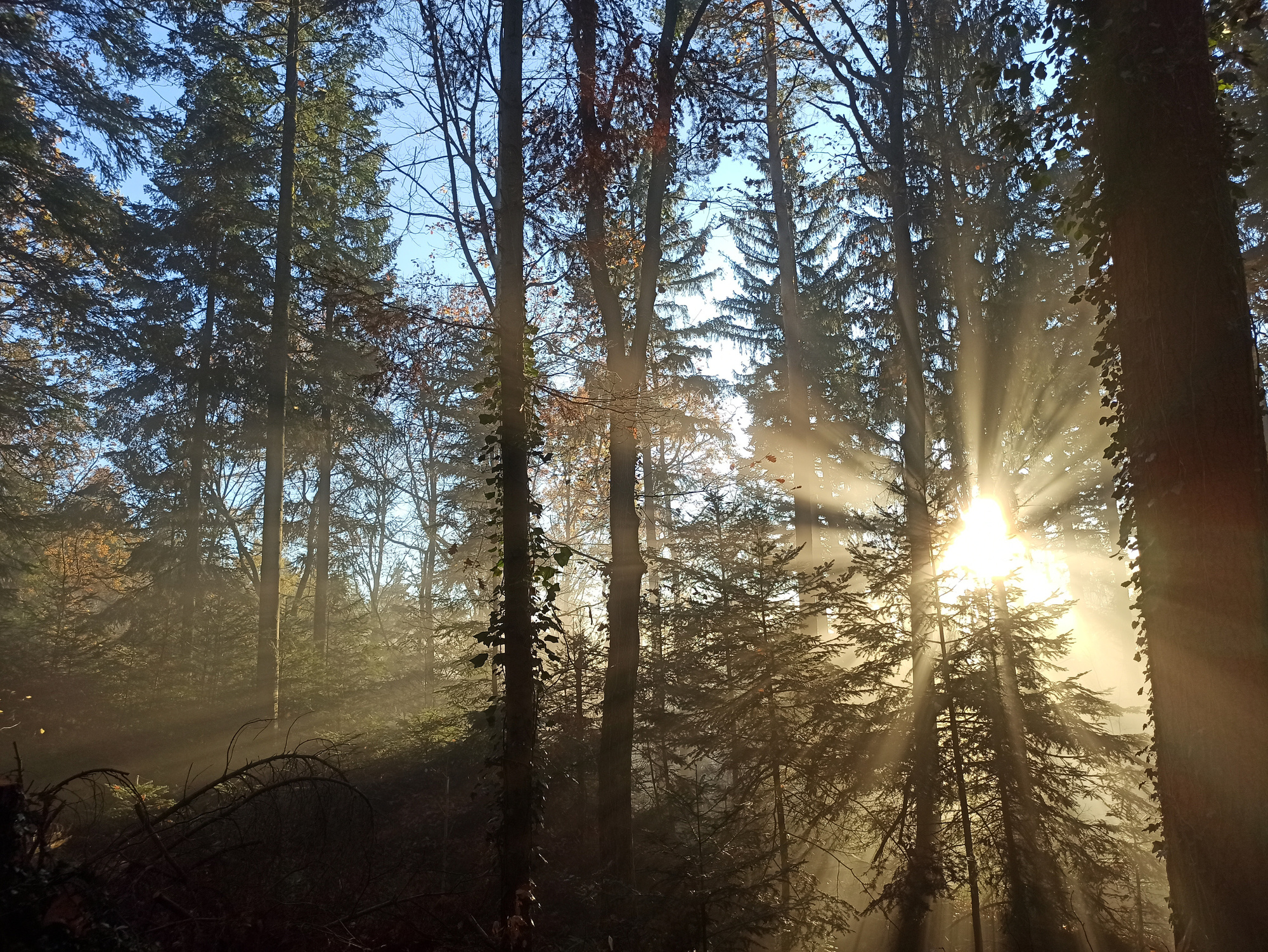 Sonnenaufgang Sonnenaufgang