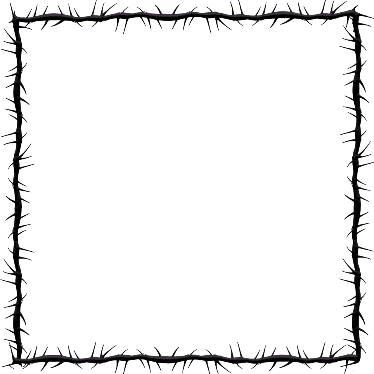 Rahmen aus Dornen Rahmen aus Dornen