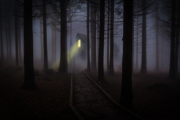 In dieser Nacht