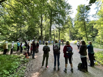 Rengersbrunn-Wallfahrt